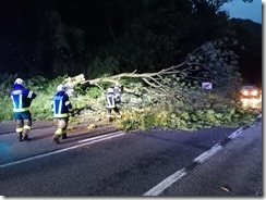 IMG_20210629_205952[1]