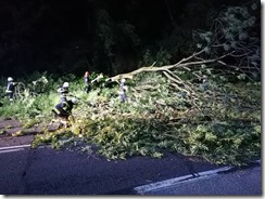 IMG_20210629_210000[1]