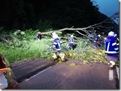 IMG_20210629_210015[1]