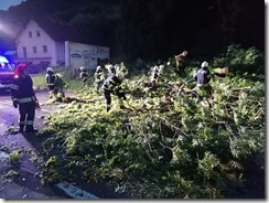 IMG_20210629_210310[1]