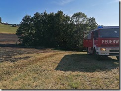 IMG_20210706_174451[1]