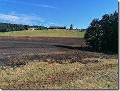 IMG_20210706_174454[1]